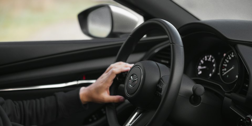 Driver with hands on the steering wheel